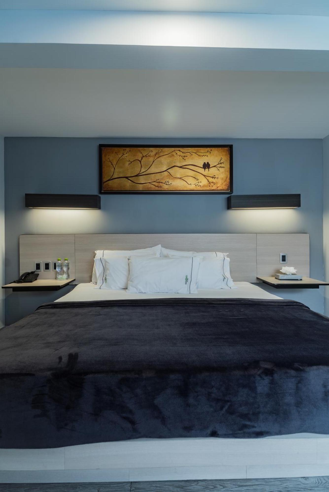 Hotel Lemon Green -Zona Expo Frente Al Centro De Convenciones غوادالاجارا المظهر الخارجي الصورة