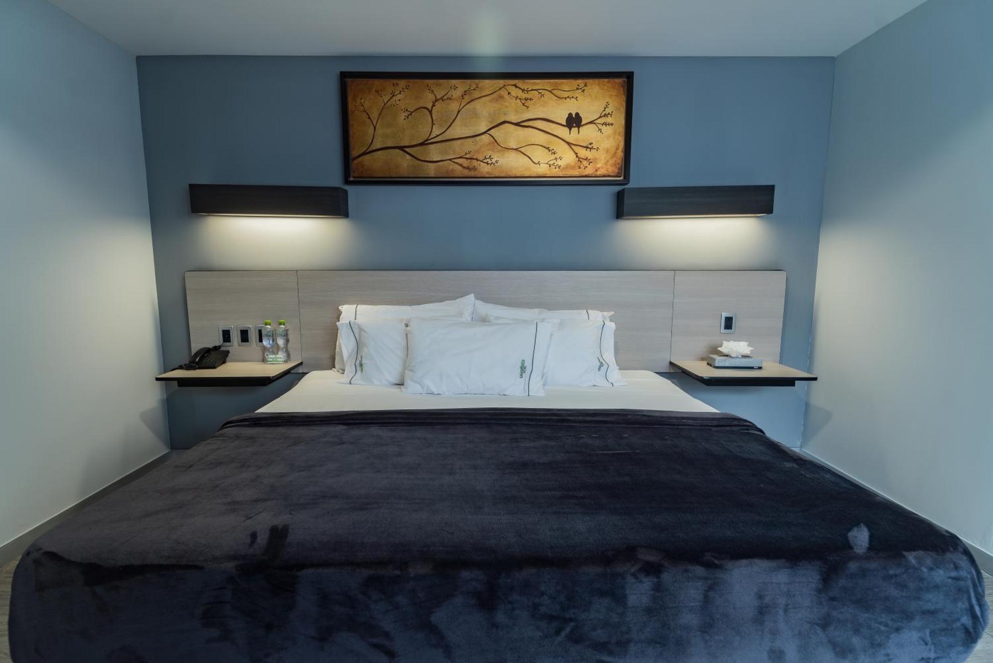 Hotel Lemon Green -Zona Expo Frente Al Centro De Convenciones غوادالاجارا المظهر الخارجي الصورة