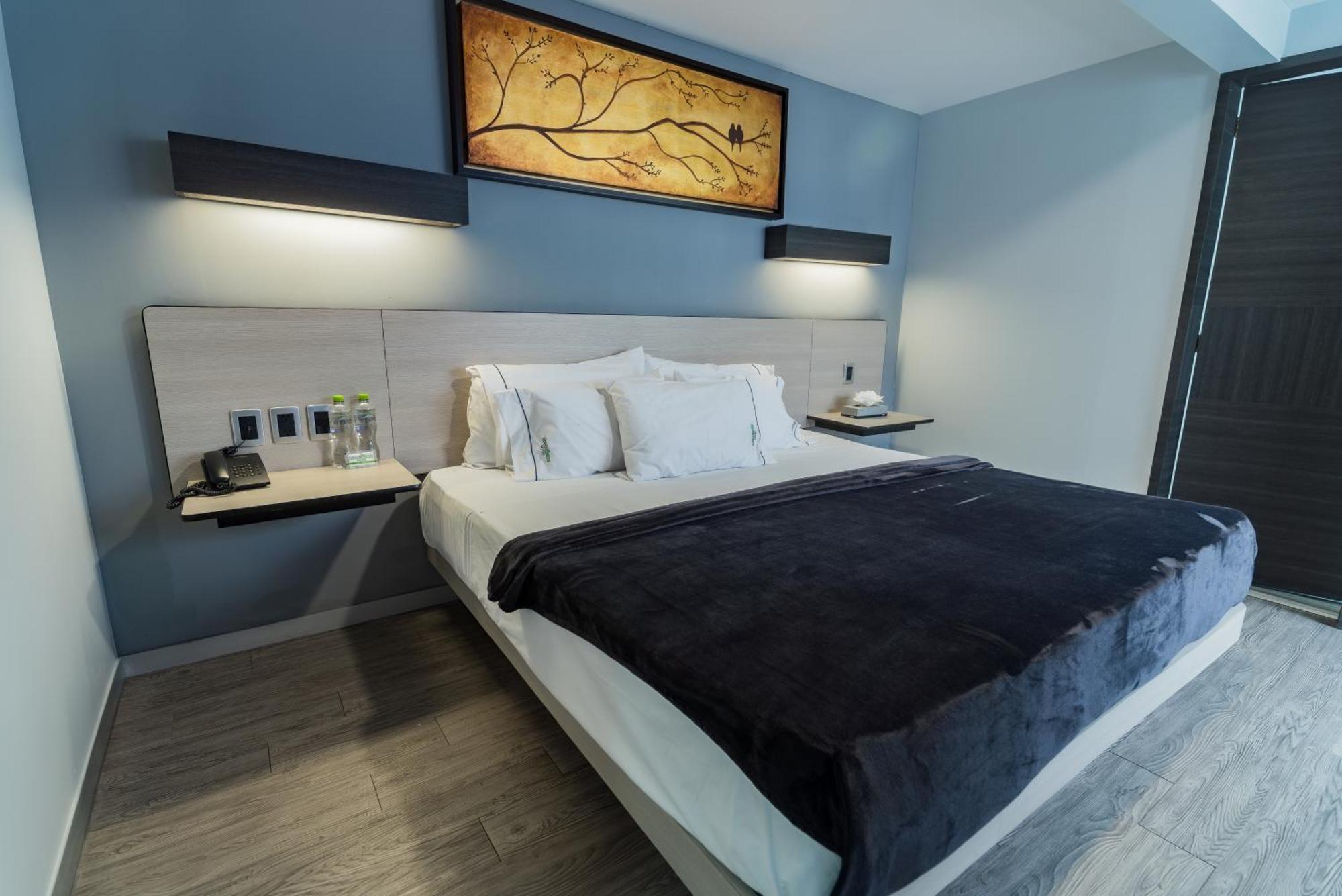Hotel Lemon Green -Zona Expo Frente Al Centro De Convenciones غوادالاجارا المظهر الخارجي الصورة